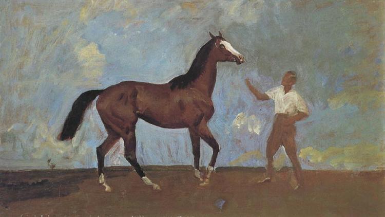  The Racehorse 'Amberguity'  Held by Tom Slocombe